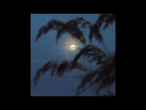 (FREE) R&B Sample Pack / Loop Kit "Serenity" (Partynextdoor, Drake, Nobu Woods)