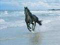 Johnny Lang ~ Don't Stop (for anything)