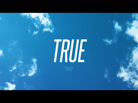 Twin Fix - TRUE (Official Music Video)