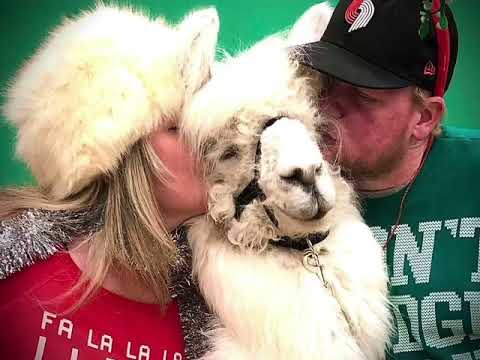 Episode 13: Comfort and Joy