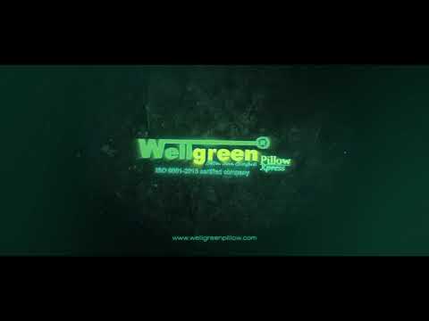 Wellgreen white soft feel pillow, for hose/hotel, shape: rec...