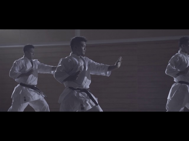 Aperçu vidéo Shureido karaté