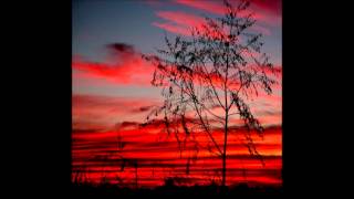 Lenny Kravitz (MonaMix) - Sunflower