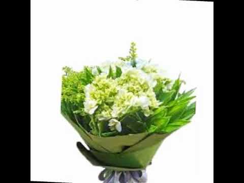 Thể hiện bởi Hoài Mỹ