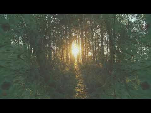 A forca dos Pajés - Txai Fernando - letra e cifra