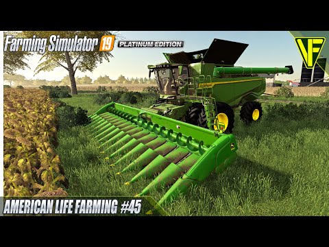 The Sunflowers Are READY! | American Life Farming | FS19