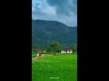 Kollengode Palakkad Kerala Tourism Kerala Villages Village Life