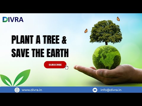 || Why Trees Matter?🌳|| Divra ||