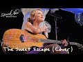 Taylor Swift - The Sweet Escape (Cover) (Live on the Speak Now World Tour)