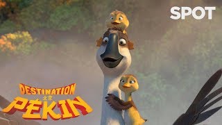 DESTINATION PEKIN - Spot