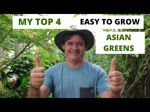 , title : 'My Top 4 Easy Asian Greens to Grow at Home PERMACULTURE STYLE'