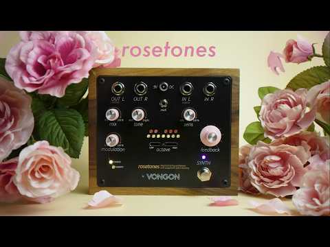 Vongon Rosetones Polyphonic Resonant String Synthesizer image 8