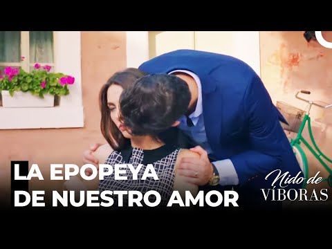 Me Metí En Problemas - Nido De Víboras