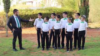 פרחי שמיים – פותח - התמונה מוצגת ישירות מתוך אתר האינטרנט יוטיוב. זכויות היוצרים בתמונה שייכות ליוצרה. קישור קרדיט למקור התוכן נמצא בתוך דף הסרטון