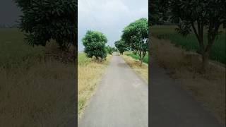 Download lagu RURAL ROAD #shorts #rural #fyp mp3