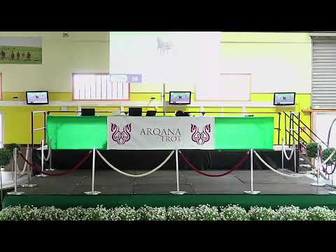 Arqana Trot - Vente d'Eté 2021