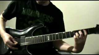 Pig Destroyer - Terrifyer (guitar cover)