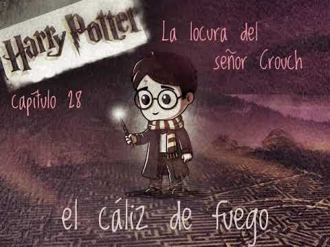 28 La Locura Del Senor Crouch - Harry Potter El Caliz De Fuego