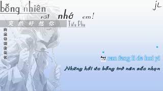 [Vietsub + Kara] Bỗng nhiên rất nhớ em 突然好想你 - Tiểu Phu