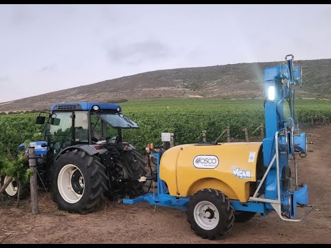 MULTI-ROW VINEYARD SPRAYER