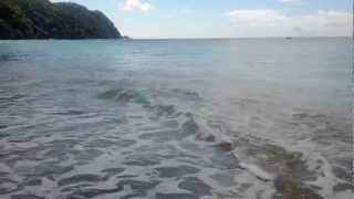 preview picture of video 'Our own private beach in Castara, Tobago.'