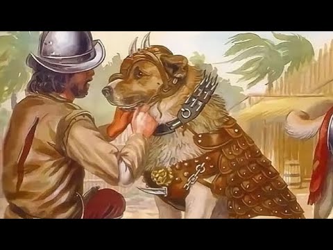 Cumtown Radio 21 (69.9 FM The Bust)