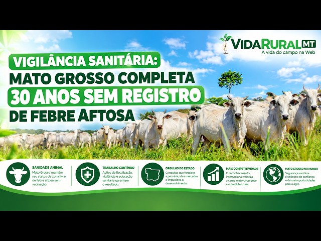 MATO GROSSO COMPLETA 30 ANOS SEM REGISTRO DE FEBRE AFTOSA