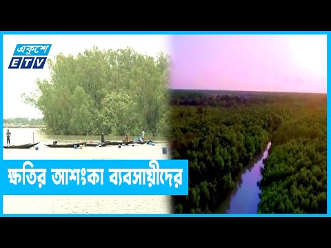 আবারও সুন্দরবনে পর্যটক ভ্রমণে ৩ মাসের নিষেধাজ্ঞা