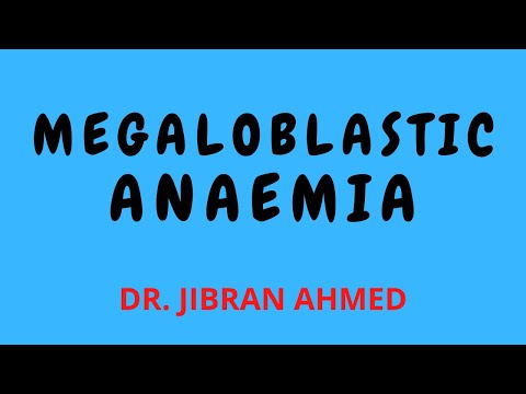 NORMAL HEMATOPOESIS II HEMATOLOGY II ROBBINS 10TH E II DrJIBRANAHMED