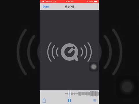Ex Guap FT DENZ FLOCKZ, NICK BLIXKY— continue to flock🔥🕺