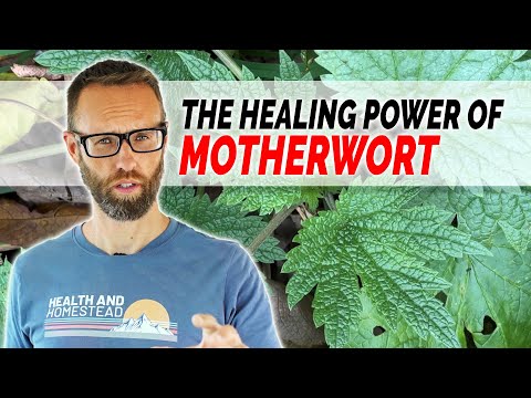 , title : 'Motherwort's Impact on Mental and Physical Health'