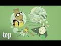 The Creator Of Arthur On Why He Supports PBS Funding