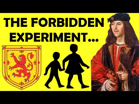 The MAD and Cruel Language Experiment by The King of Scotland