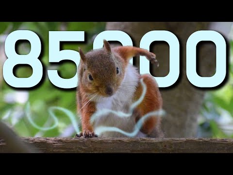 YouTube Thumbnail