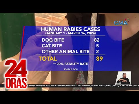 P10-M halaga ng bakuna vs rabies, 'di pa naipapamahagi ng DA sa mga LGU 24 Oras