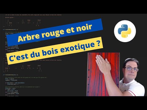 Mémoire et structure : Arbres rouge et noir