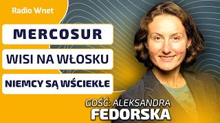 Fedorska: MERCOSUR wisi na włosku. Niemcy są wściekłe! To wynik dealu Argentyny z USA