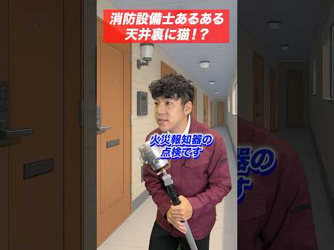 総合工学科 火災報知器の点検あるある(42)天井裏に猫⁉︎ #shorts