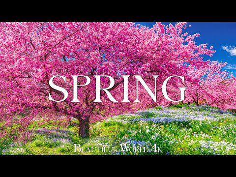 Spring Flower 4K - The Earth Awakens In A Tapestry Of Blossoms - Piano Music