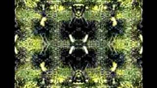 Charitoo (2002) a film by Christine Gorbach and Gary Lee Nelson