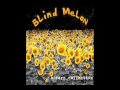 Blind Melon Holyman (Original Vercion)
