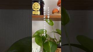 VLOG いつか‥を今に変える生き方。