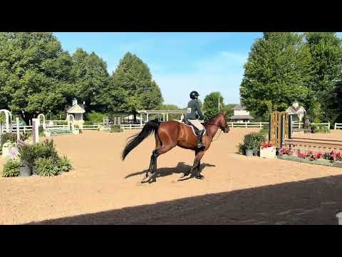 Chatham Square video 2