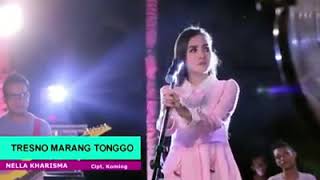Tresno Marang Tonggo - Nella Kharisma