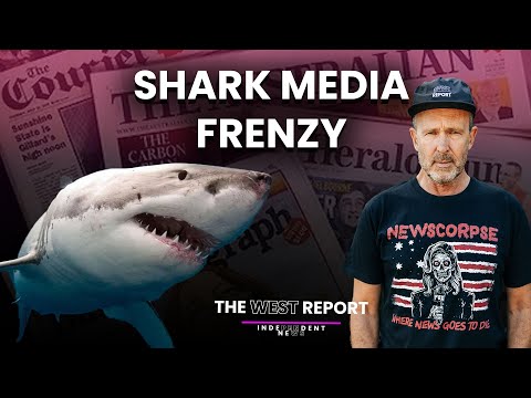 From Shark Attack to Culture War in 24 Hours | The West Report