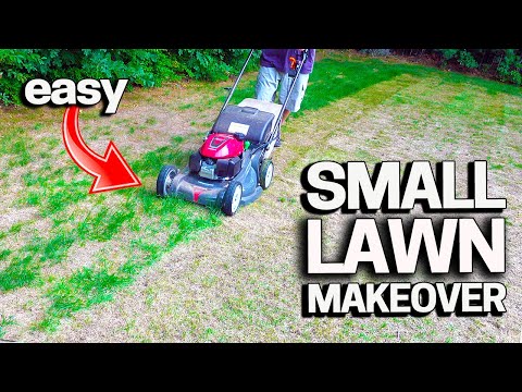How to RENOVATE a SMALL LAWN - Cheap & Easy!