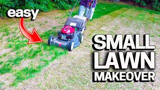 How to RENOVATE a SMALL LAWN - Cheap & Easy!