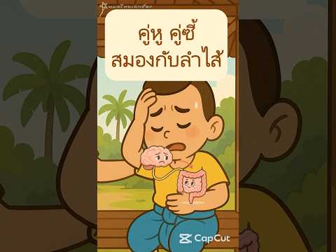 คลิกเพื่อดูคลิปวิดีโอ