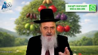 סדר ט"ו בשבט וסדר הקדימה בברכות הנהנין - הלכה יומית מפי הגאון הרב אהרון בוטבול י"ד שבט התשפ"ו (הרב אהרון בוטבול) - התמונה מוצגת ישירות מתוך אתר האינטרנט יוטיוב. זכויות היוצרים בתמונה שייכות ליוצרה. קישור קרדיט למקור התוכן נמצא בתוך דף הסרטון