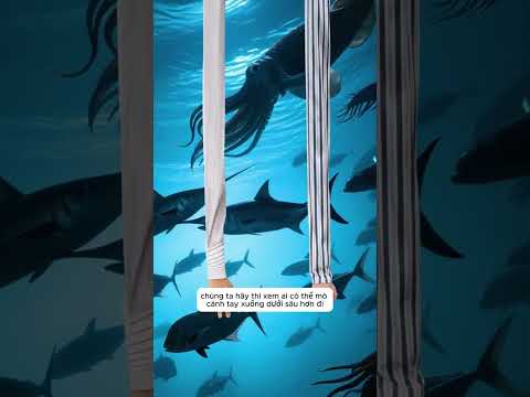 Xem Cánh Tay Của Ai Dài Hơn Nào?